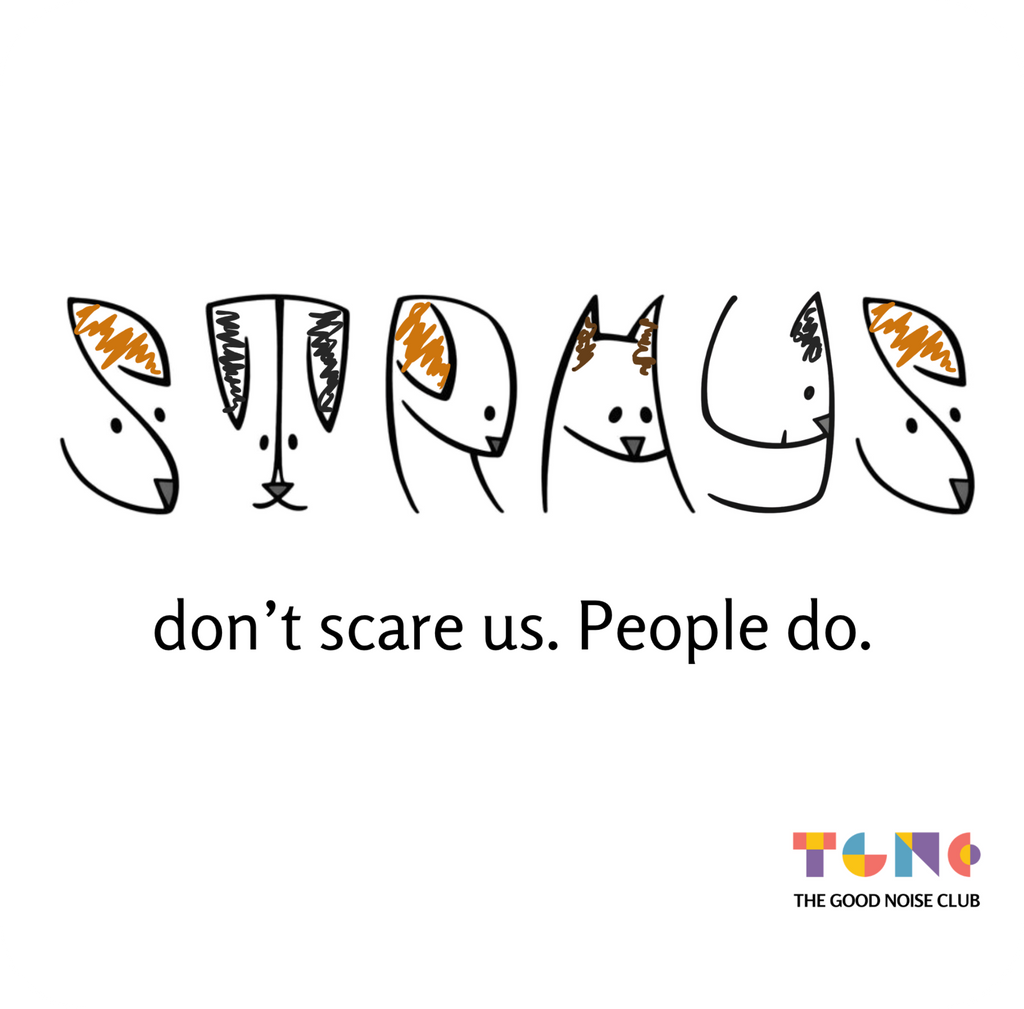 Cartoon dogs with a message 'STRAYS don't scare us. People do.' and a logo at the bottom.