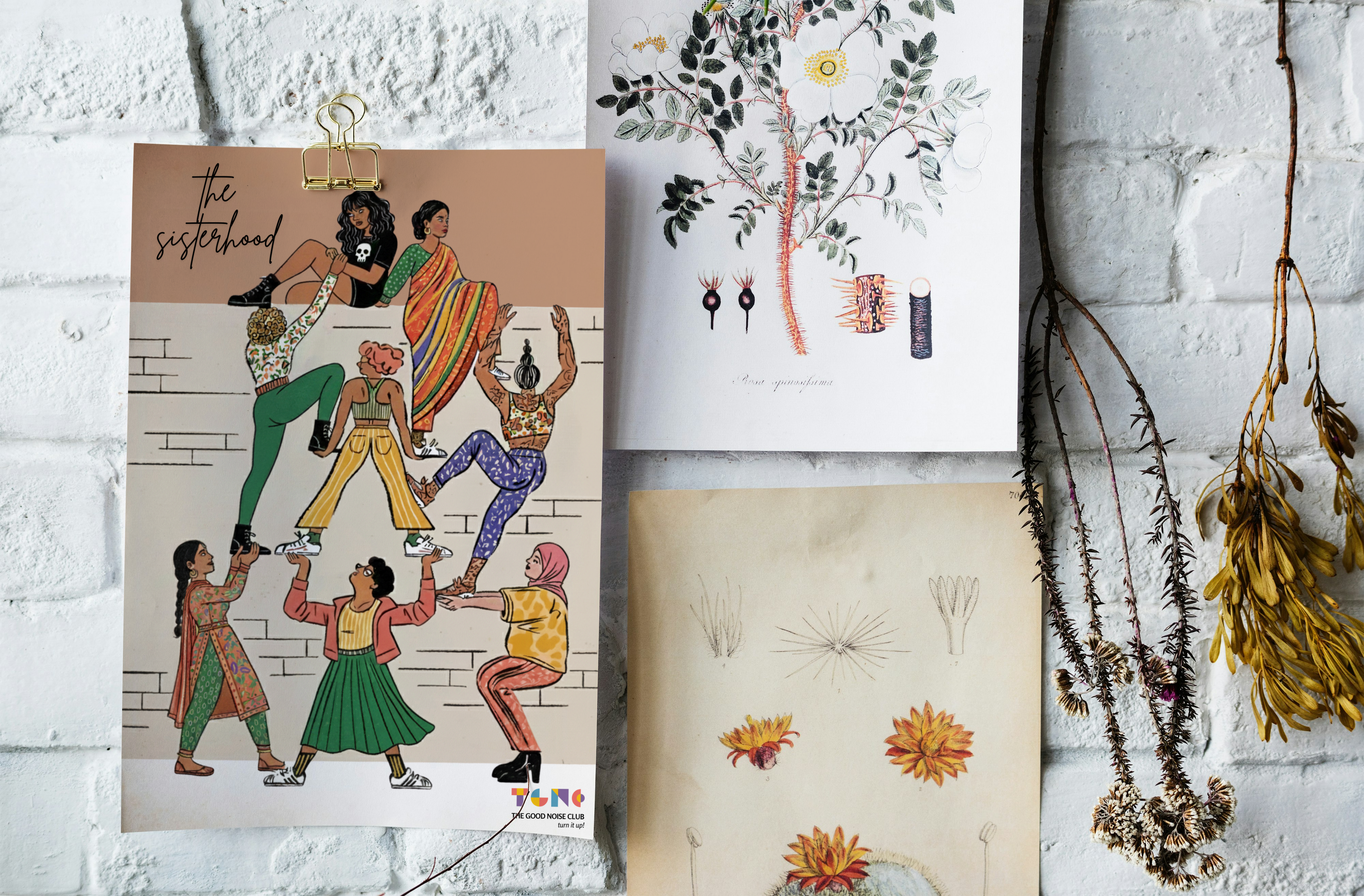 Three artistic prints on a textured wall with decorative elements.